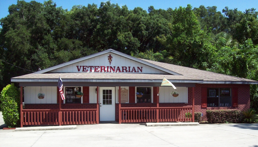 Rainbow River Animal Hospital Dunnellon FL